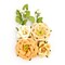 Prima Marketing Inc Prima Marketing Amber Moon Flowers - Pumpkin 655350596989